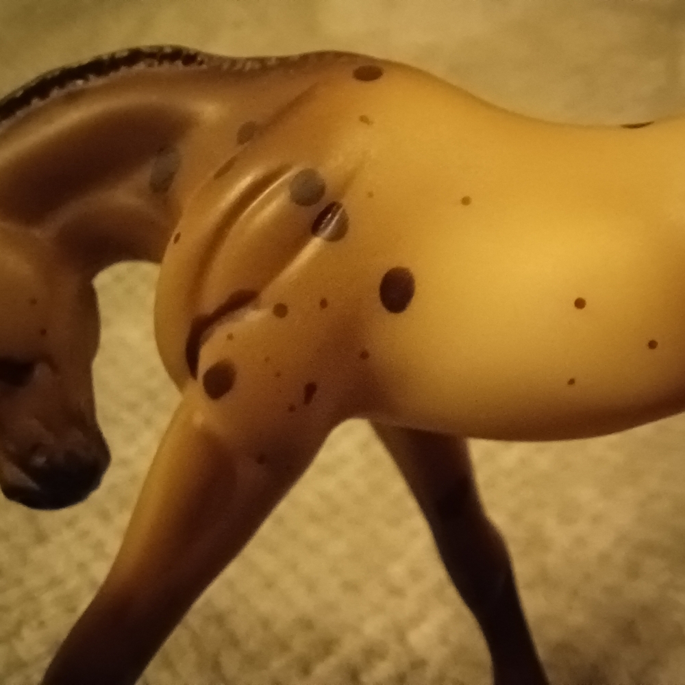 Breyer Dakotah - Picture 4 of 15